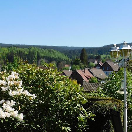 Pension Haus Petra Altenau  Exteriör bild