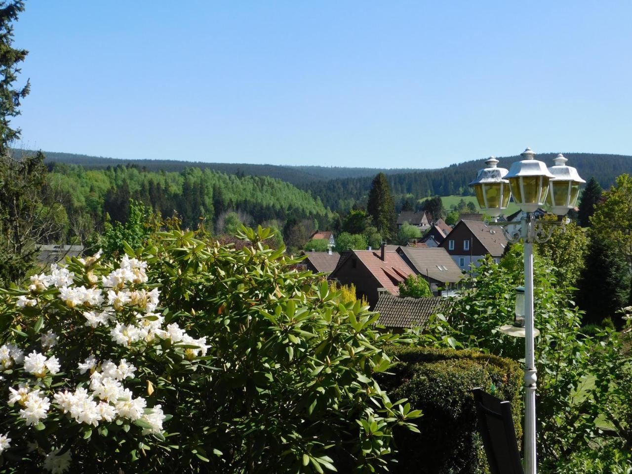Pension Haus Petra Altenau  Exteriör bild